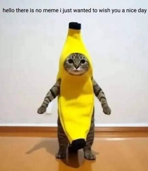 3DM轻松一刻第1578期 还是护士装看上去比较正式