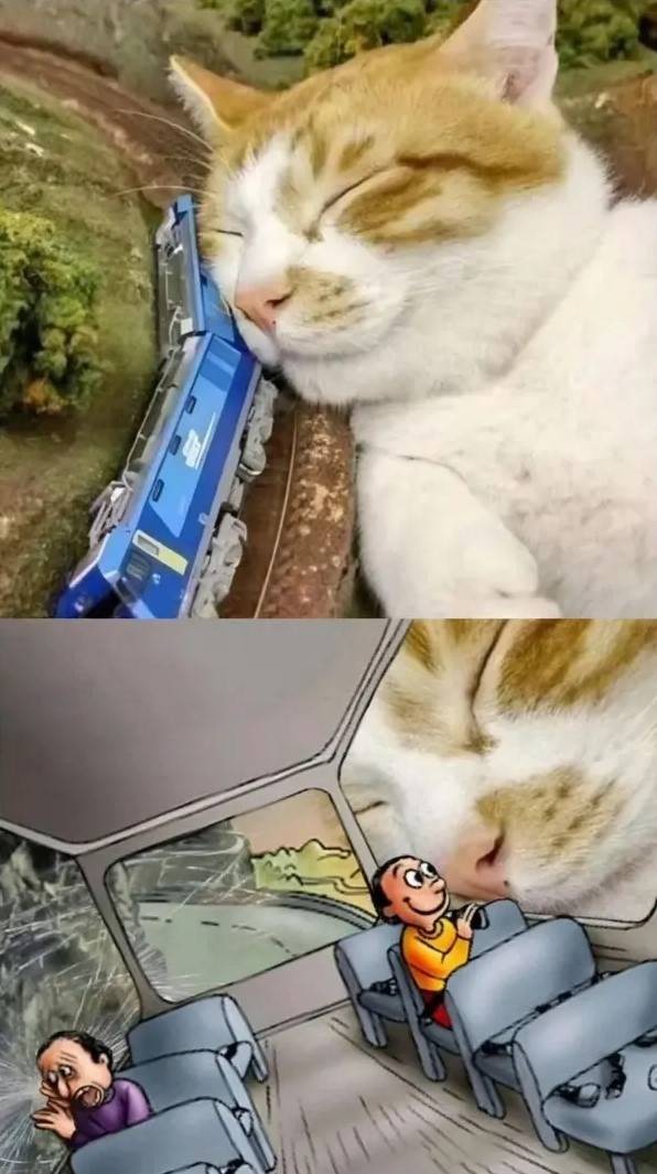 3DM轻松一刻第1578期 还是护士装看上去比较正式