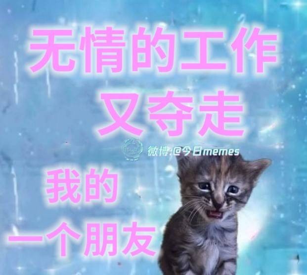 3DM轻松一刻第1578期 还是护士装看上去比较正式