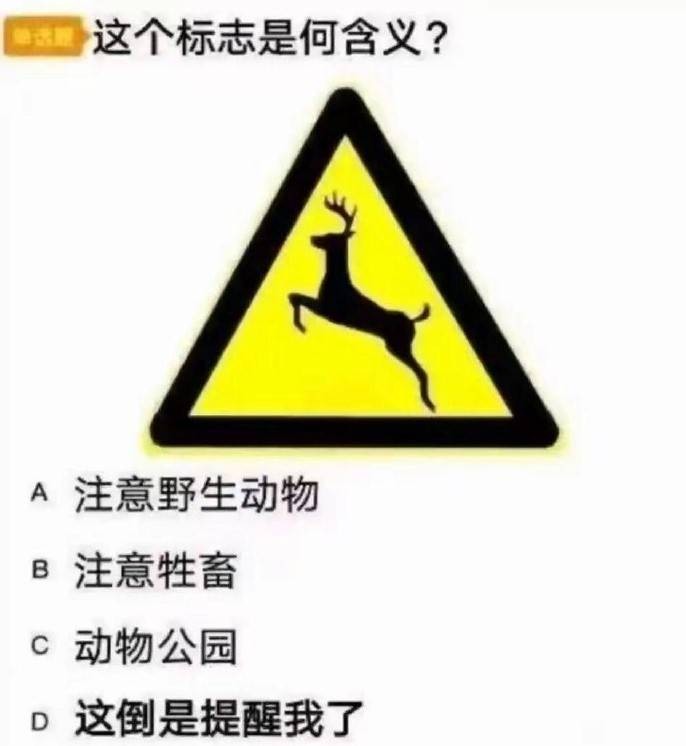 3DM轻松一刻第1579期 妹子解锁了一字马新用法！