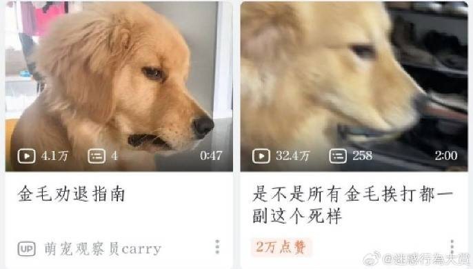 3DM轻松一刻第1579期 妹子解锁了一字马新用法！