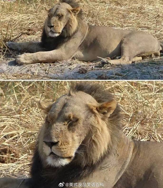 3DM轻松一刻第1579期 妹子解锁了一字马新用法！