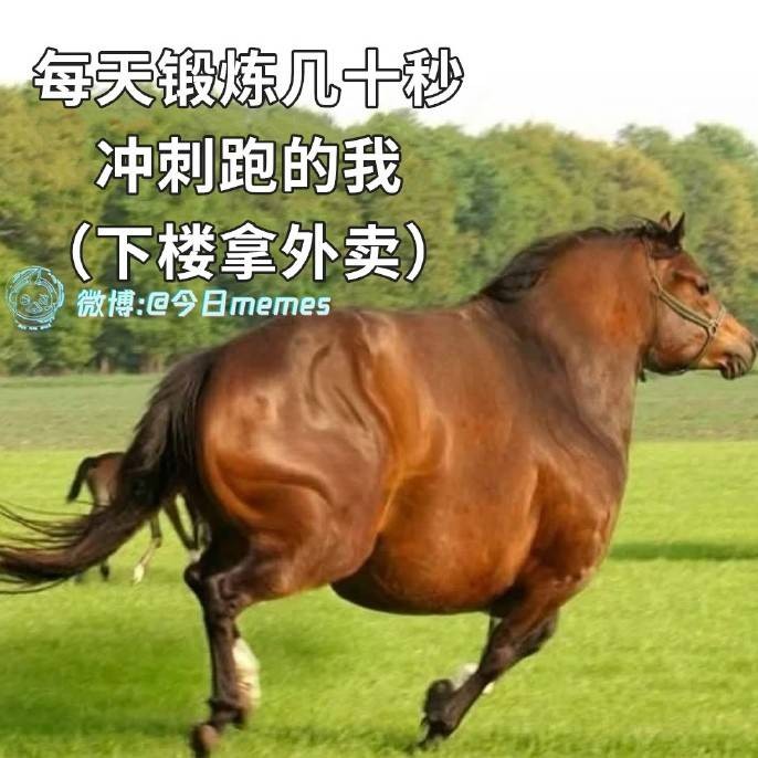 3DM轻松一刻第1579期 妹子解锁了一字马新用法！