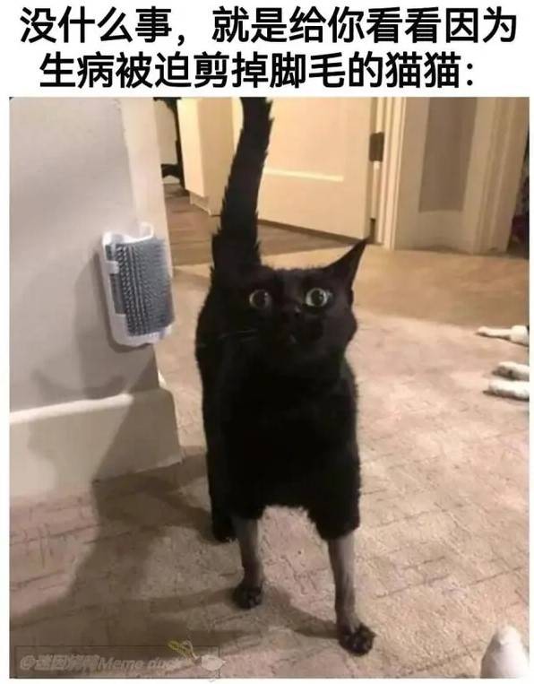 3DM轻松一刻第1580期 舞台升降台是单杀最多道具