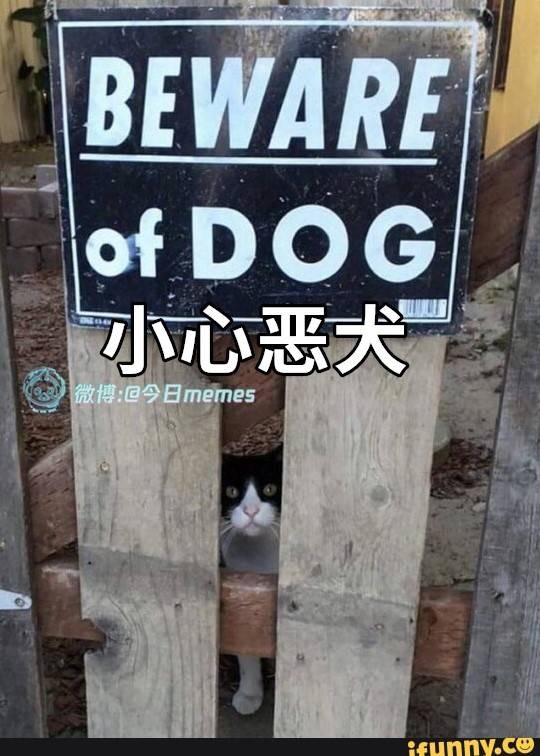 3DM轻松一刻第1580期 舞台升降台是单杀最多道具