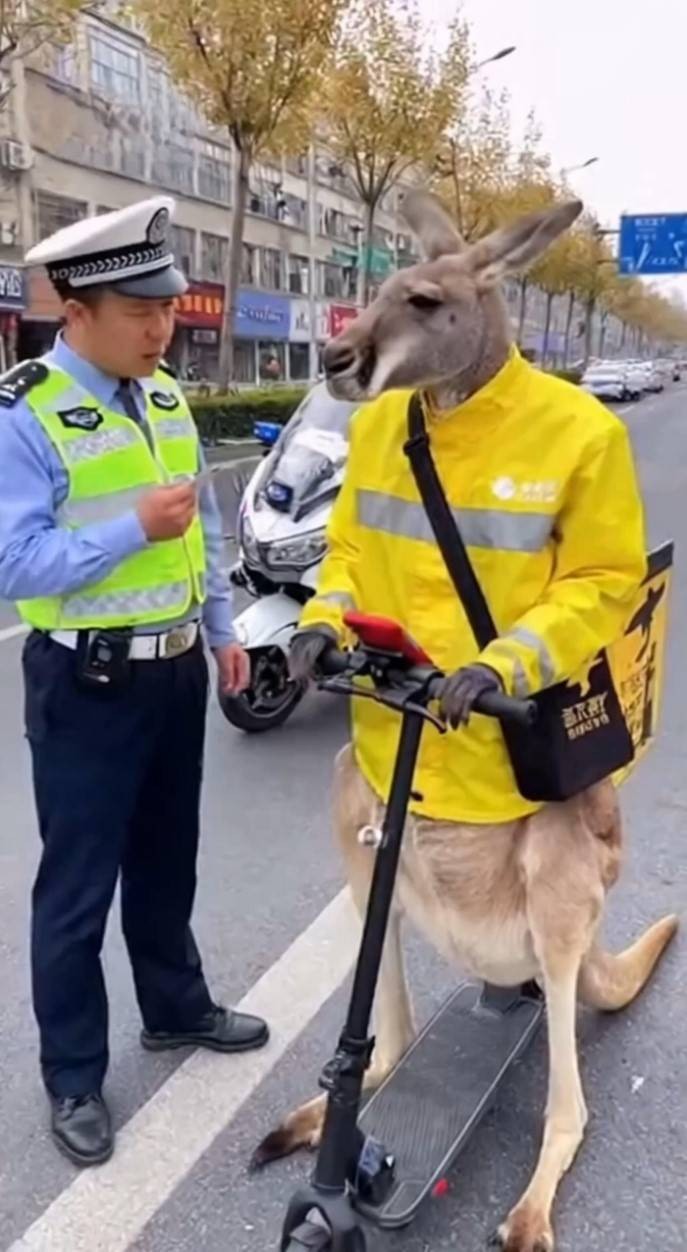 3DMһ̵1580 ̨̨ǵɱ