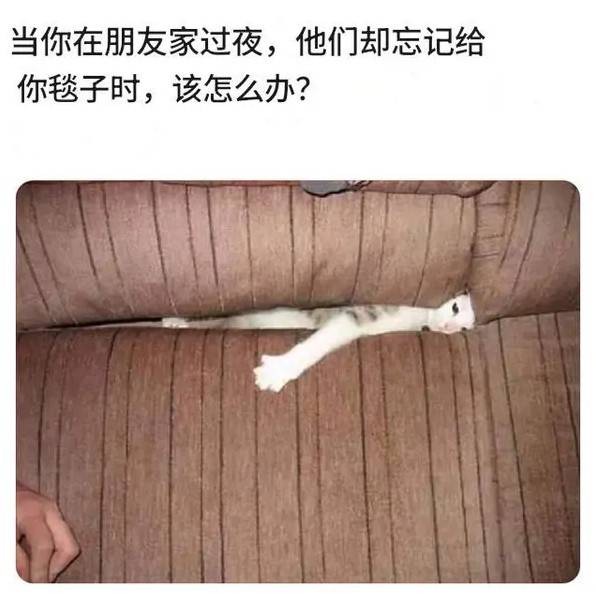 3DMһ̵1580 ̨̨ǵɱ