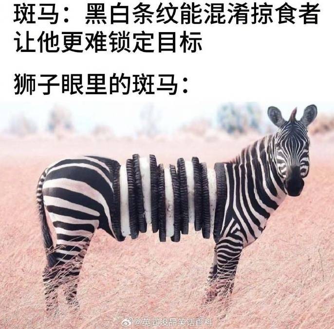 轻松一刻第1581期 体育老师也过不了美人关的