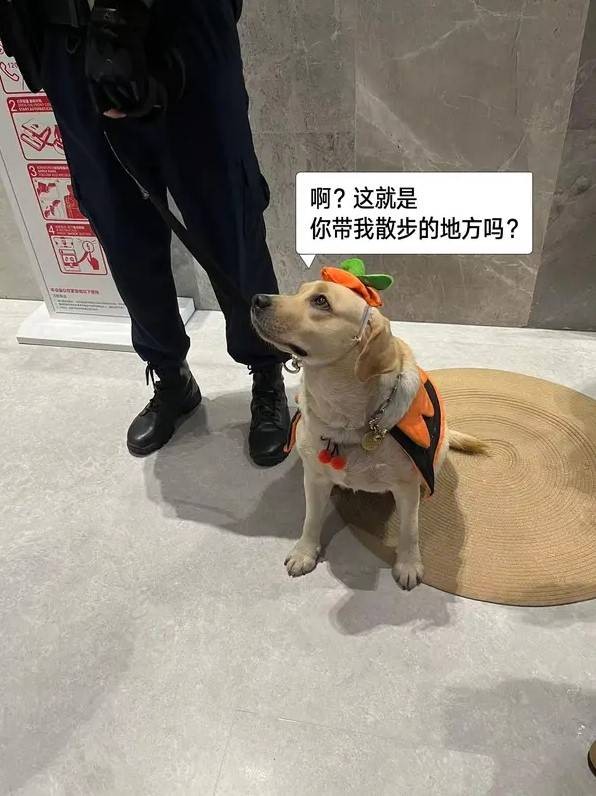 3DM轻松一刻第1581期 体育老师也过不了美人关的