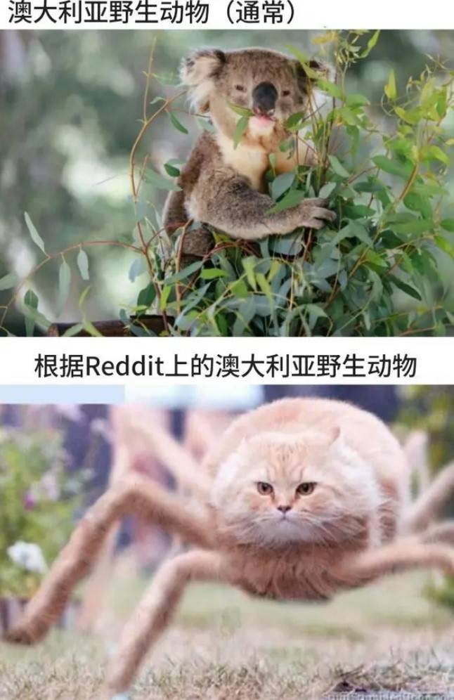 3DM轻松一刻第1581期 体育老师也过不了美人关的