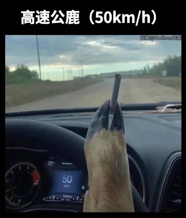 3DM轻松一刻第1581期 体育老师也过不了美人关的