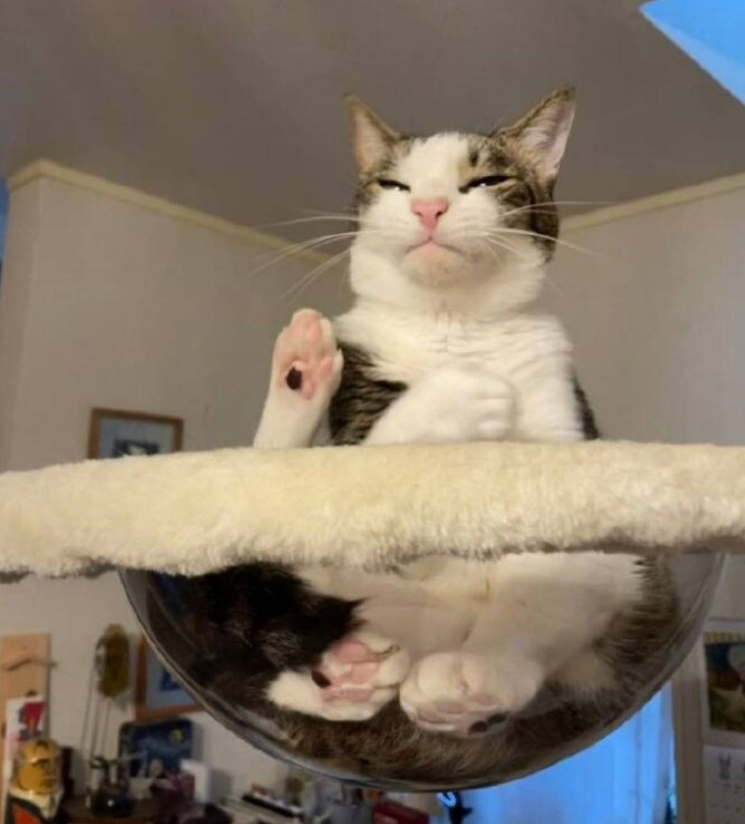 周五福利囧图云飞系列 体育老师也过不了美人关！