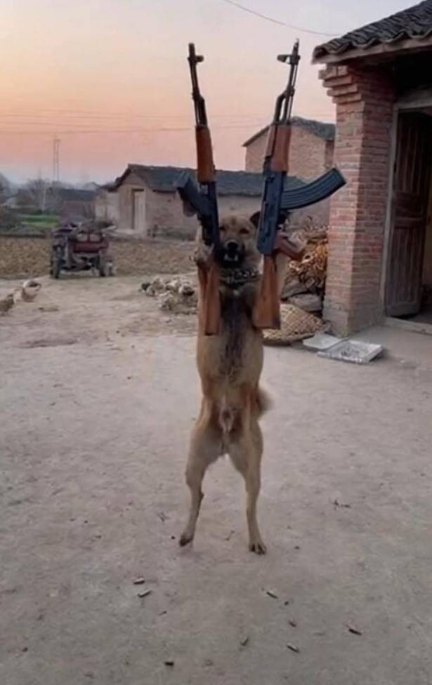 周五福利囧图云飞系列 体育老师也过不了美人关！