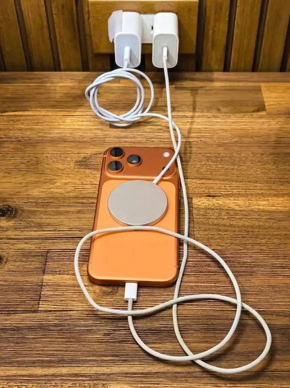 3DM轻松一刻第1582期 面纱也遮不住这绝世的容颜