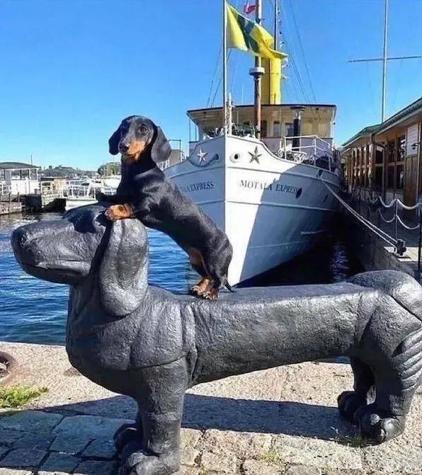 3DM轻松一刻第1582期 面纱也遮不住这绝世的容颜