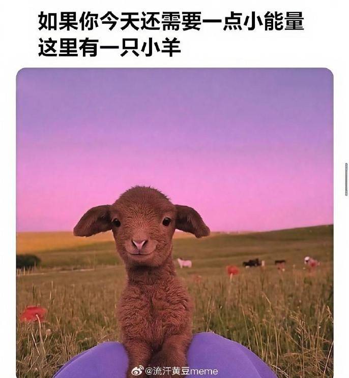 3DM轻松一刻第1582期 面纱也遮不住这绝世的容颜