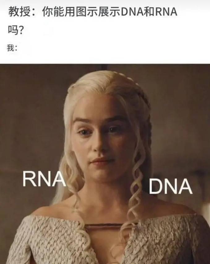 3DM轻松一刻第1582期 面纱也遮不住这绝世的容颜