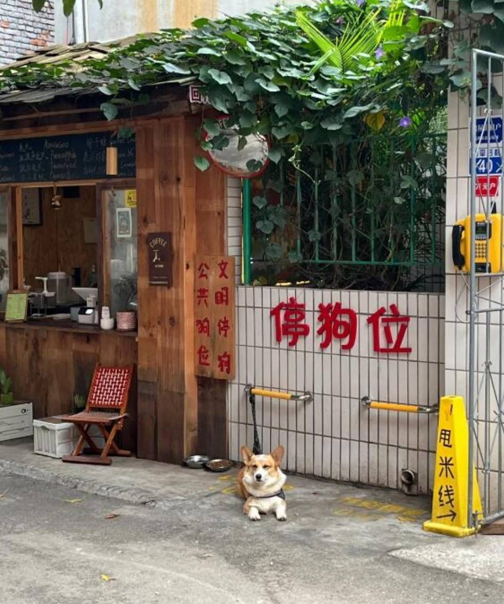 һںͼƷϵ ִŮ赸ץ