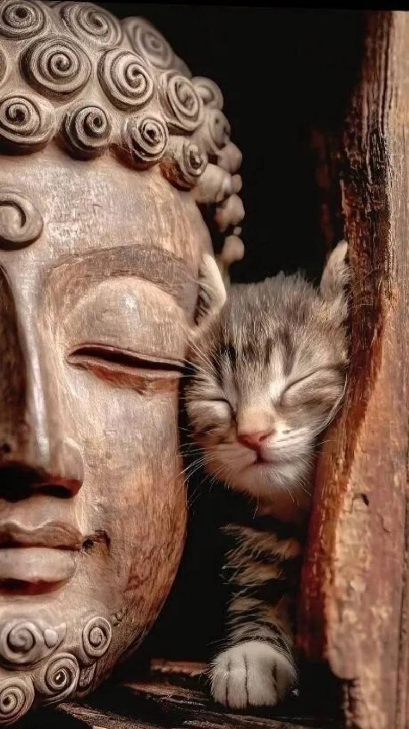 һںͼƷϵ ִŮ赸ץ