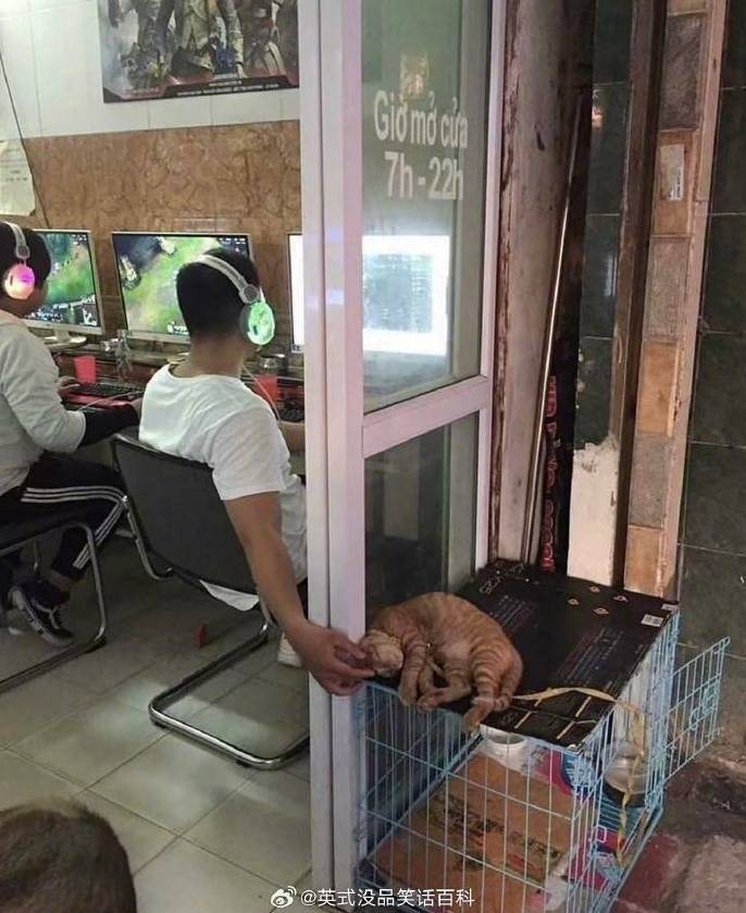 轻松一刻第1583期 妹子这么可爱你出手这么重