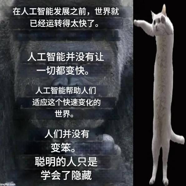 轻松一刻第1583期 妹子这么可爱你出手这么重