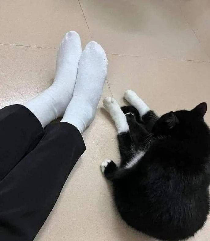 轻松一刻第1583期 妹子这么可爱你出手这么重