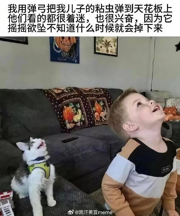 3DMһ̵1584 ޵Ůرļ