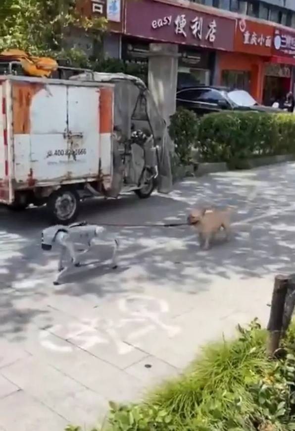 3DMһ̵1584 ޵Ůرļ