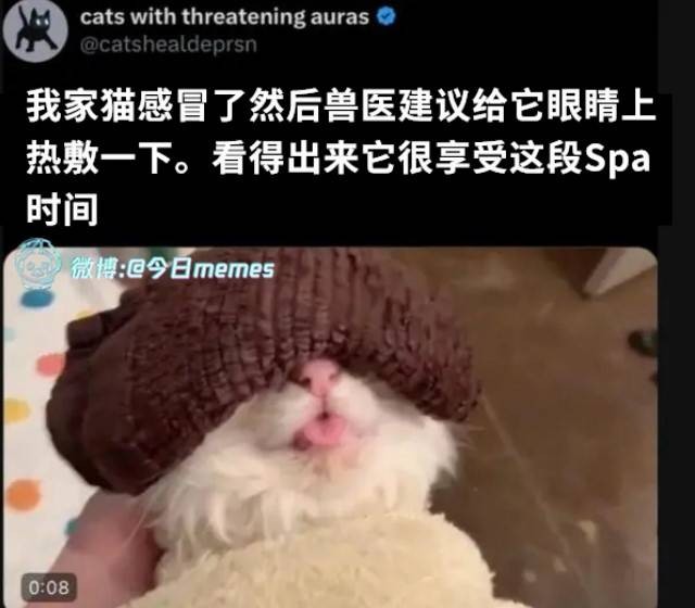 3DMһ̵1584 ޵Ůرļ