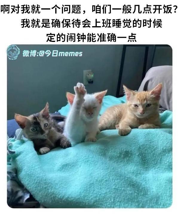 3DMһ̵1584 ޵Ůرļ