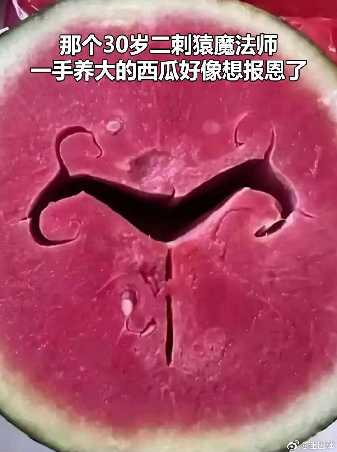 3DMһ̵1584 ޵Ůرļ