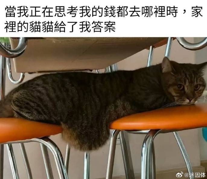 3DMһ̵1584 ޵Ůرļ