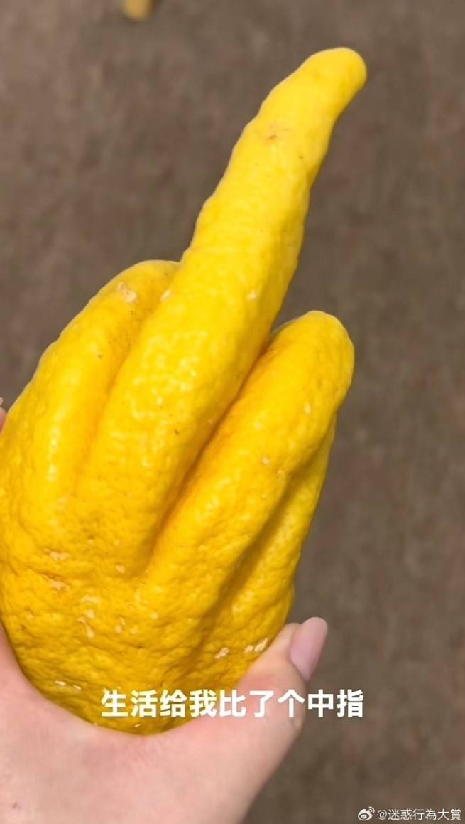 3DMһ̵1584 ޵Ůرļ