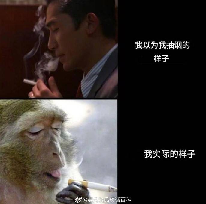 3DMһ̵1585 ׵ƷĶ