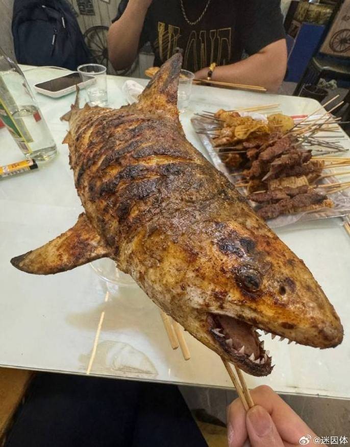 3DMһ̵1585 ׵ƷĶ