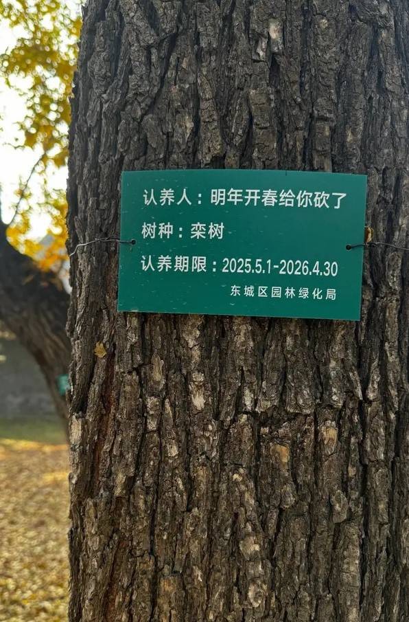 3DMһ̵1585 ׵ƷĶ