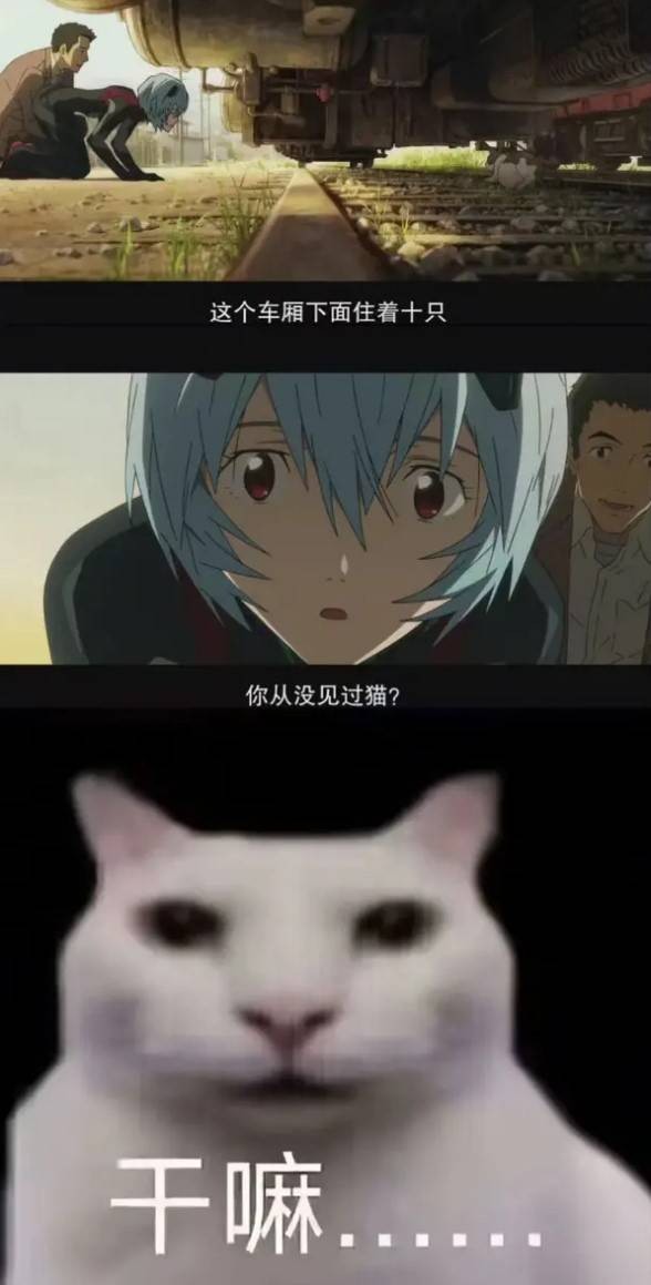 3DMһ̵1585 ׵ƷĶ