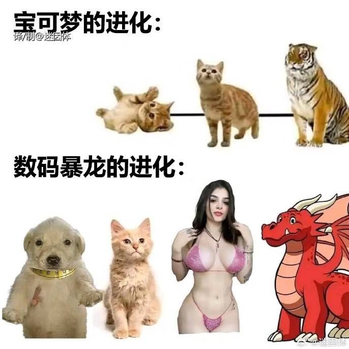 轻松一刻第1586期 妹妹新学的舞蹈跳给大家看