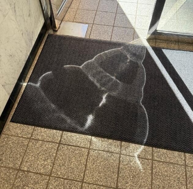 周五福利囧图云飞系列 妹子似乎还有什么放不下的