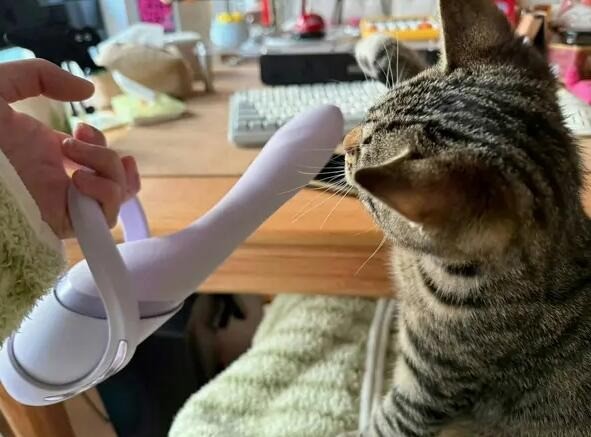 帣ͼƷϵ ƺʲôŲµ