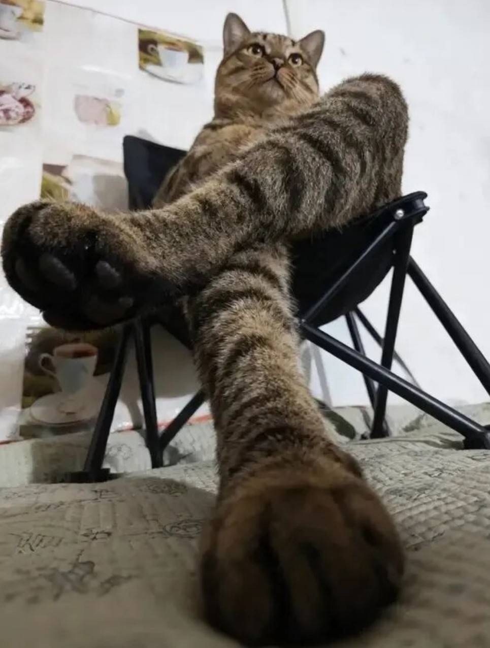 周五福利囧图云飞系列 妹子似乎还有什么放不下的