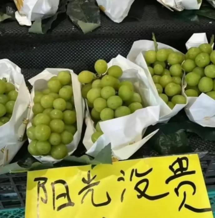 轻松一刻第1587期 妹子的英姿给马都整笑了