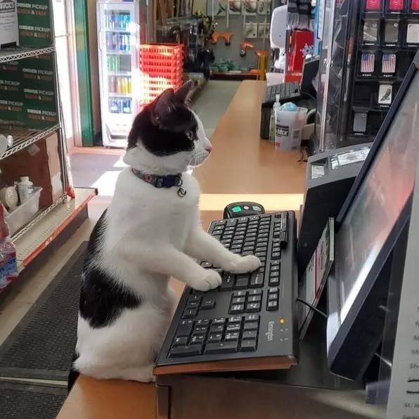 轻松一刻第1587期 妹子的英姿给马都整笑了