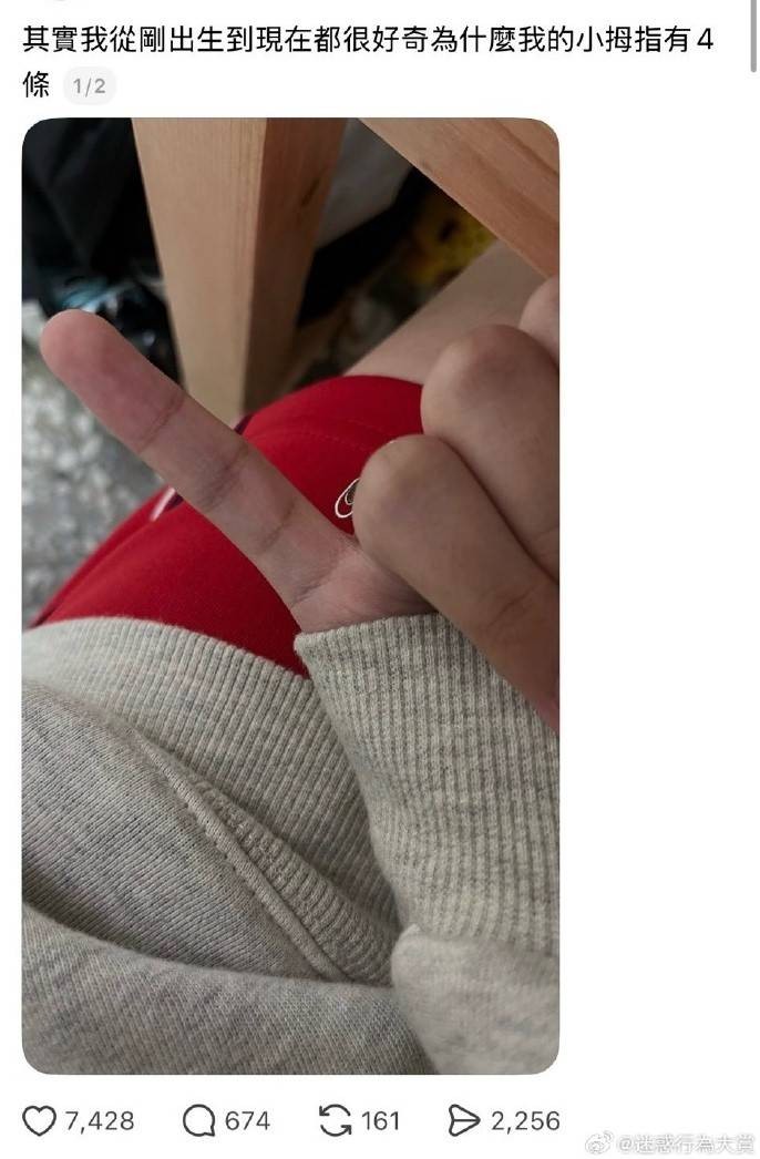 3DMһ̵1587 ӵӢ˸Ц