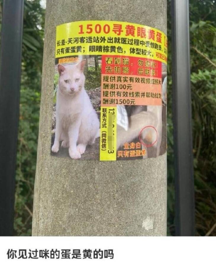 3DMһ̵1588 볢Ͽںζ