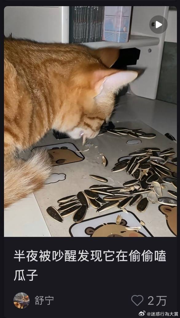 3DMһ̵1588 볢Ͽںζ