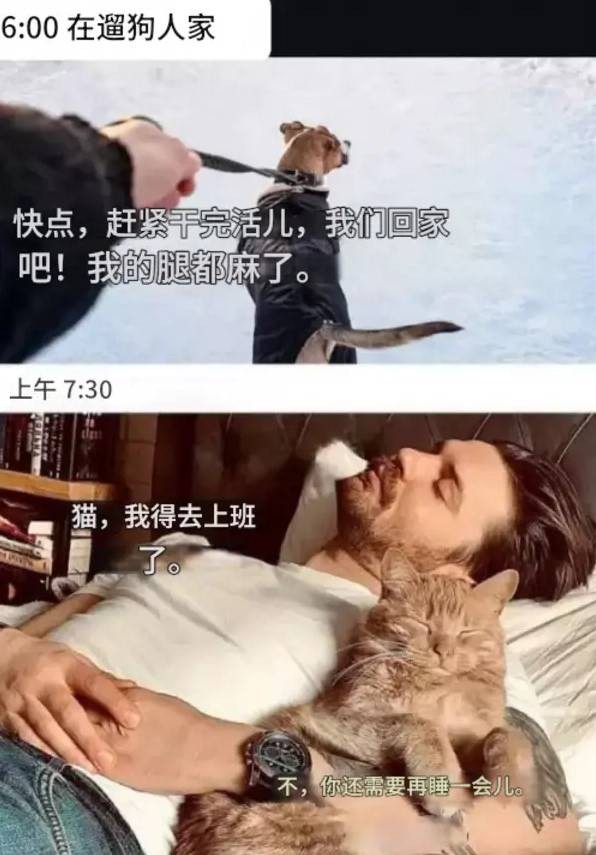 3DMһ̵1588 볢Ͽںζ