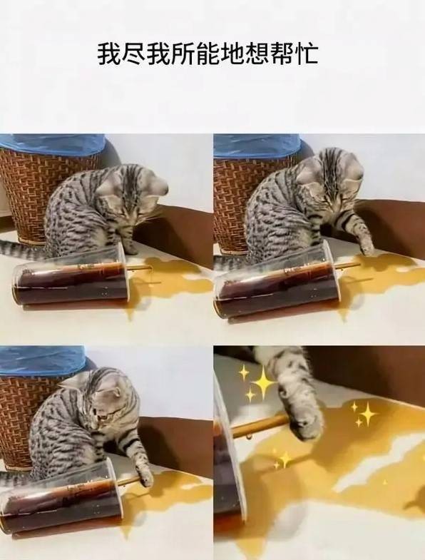 3DMһ̵1588 볢Ͽںζ