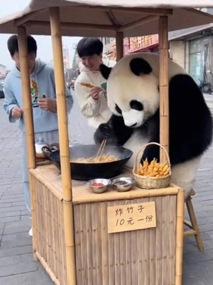 3DMһ̵1589 Ůۻúܻ