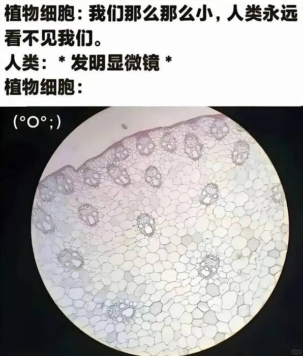 3DMһ̵1589 Ůۻúܻ